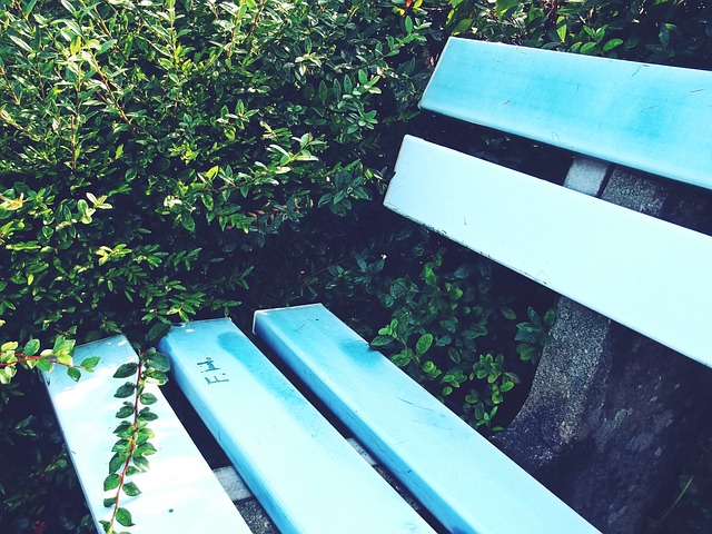 这种无法预 这种无法预