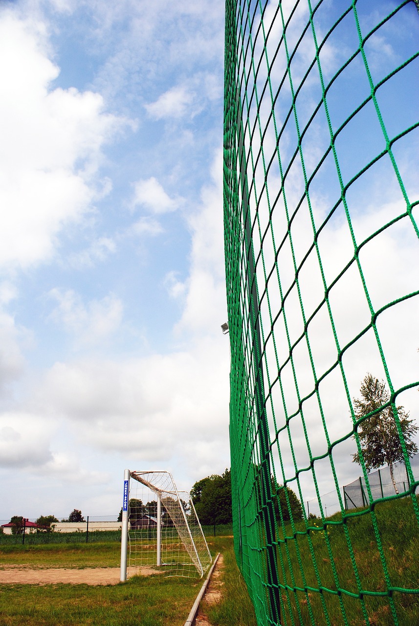 是运动员之 是运动员之