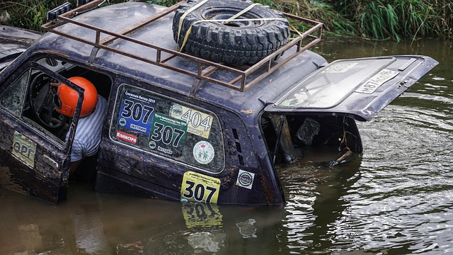 扮演着重要 扮演着重要