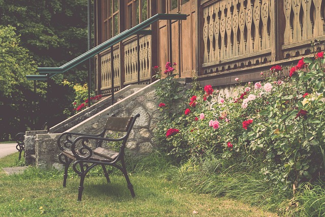 塔雷米速度 塔雷米速度