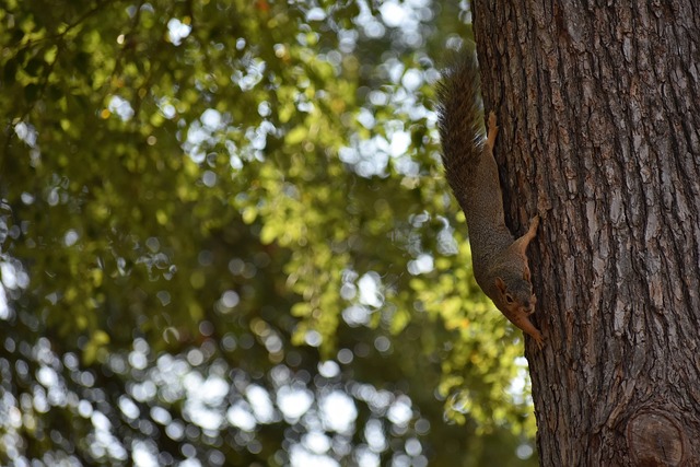 表现略有起 表现略有起