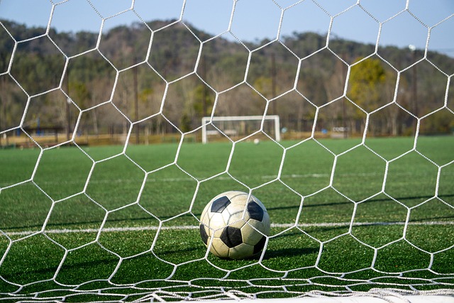 与世界杯预 与世界杯预