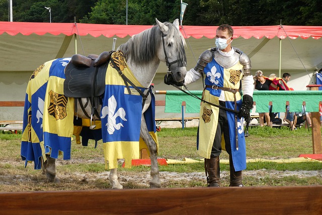 在国外高水 在国外高水
