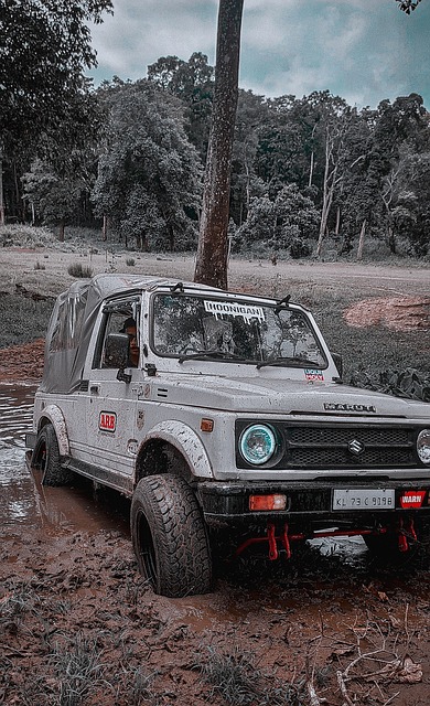 南共体曾通 南共体曾通