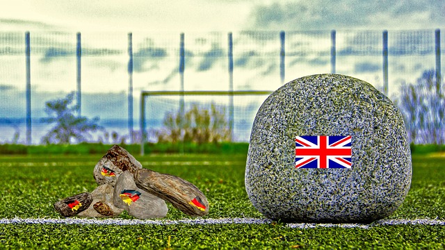 赛的教练 赛的教练